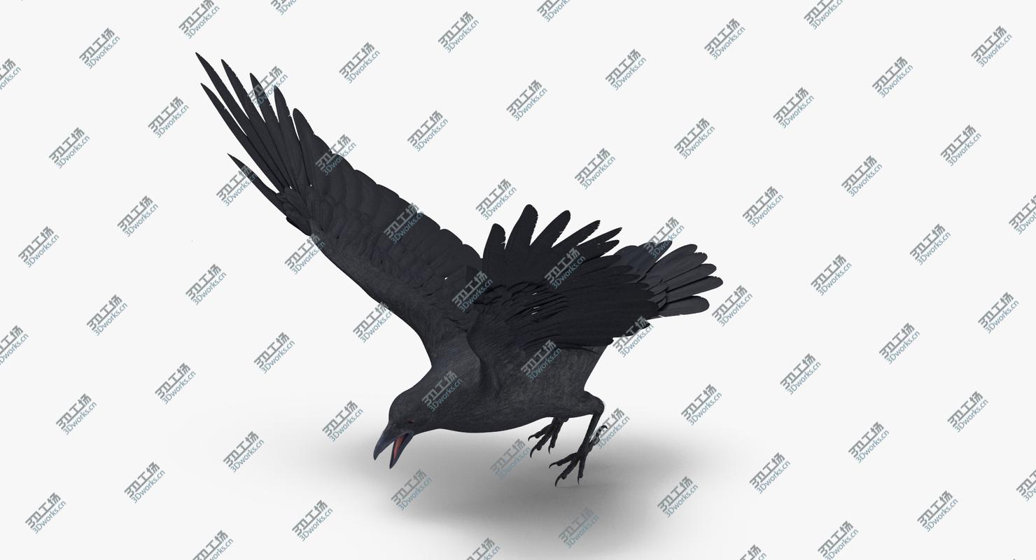 images/goods_img/202104022/Crow 3 Poses 3D model/5.jpg